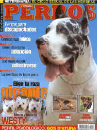 perros_y_compania_1.jpg (138482 bytes)